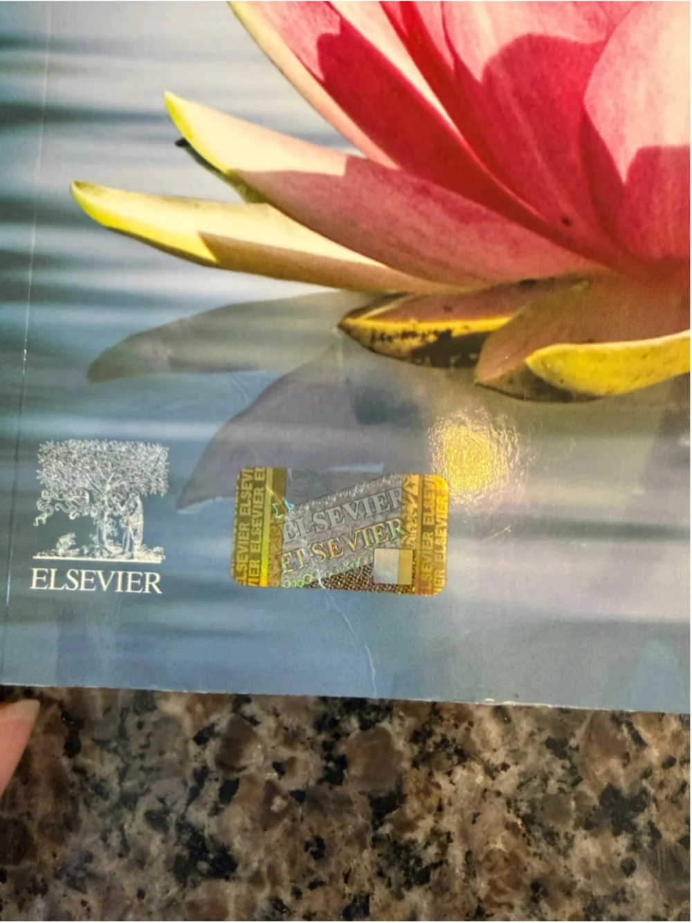 Elsevier Healthcare Terminology Notebook One Size Blue Pink